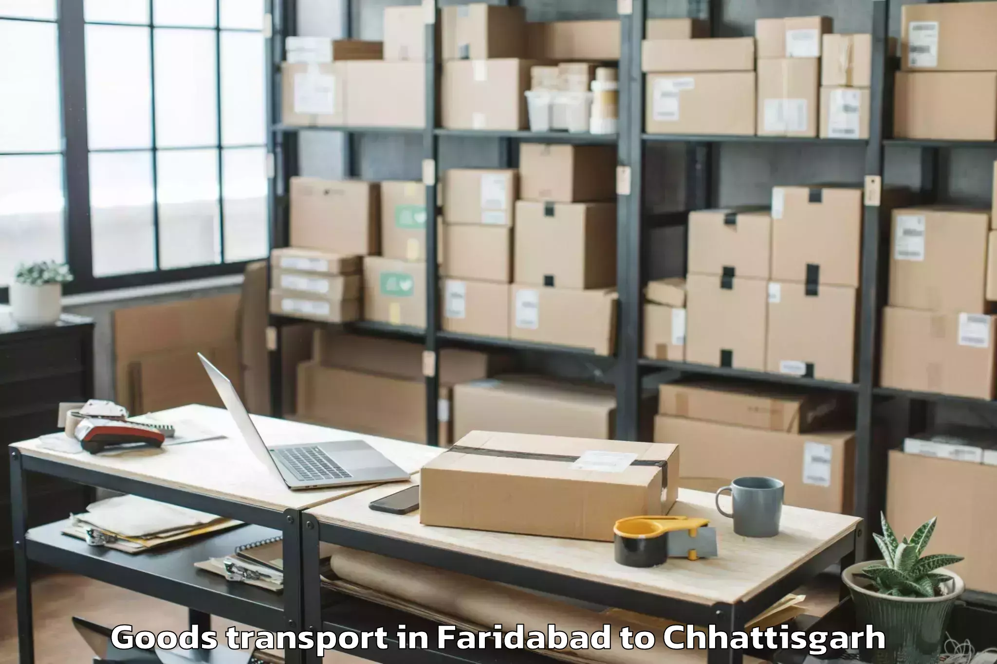 Book Faridabad to Mats University Aarang Goods Transport